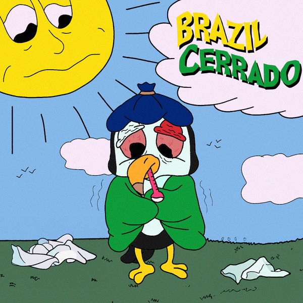 Brazil Cerrado 12 oz.