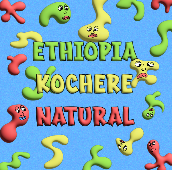 * LIMITED RUN* Ethiopia Kochere 12 Oz